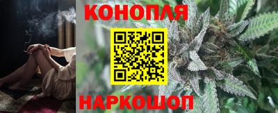шишки Волгодонск