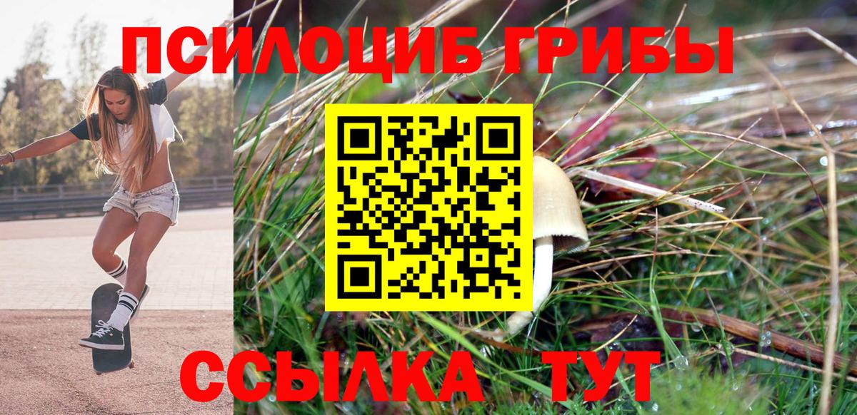 Нефтекамск  Псилоцибиновые грибы GOLDEN TEACHER  Вход с VPN  Галлюциногенные грибы прущие грибы 